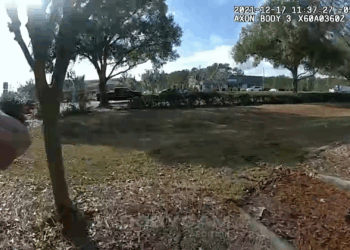 Target Felony Shoplifting Scheme Comes Crashing Down V2808 013