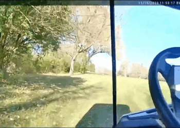 Police vs. Porta Potty V0909-045