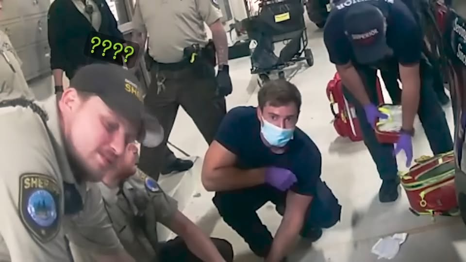 Here Why You Don Punch Cop V0909 025