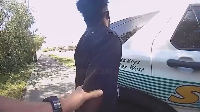 It not easy Ferguso, You have to accept consequences of Your actions #policechase #bodycampolice #DUIarrest #usa #PoliceNews V0909 045 Part 2