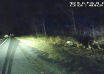 Woman Arrested DUI After Dozing Off at Traffic Light #PoliceNews #HiddenCamera #criminal #bodycampolice #policechase V0909 040 Part 2