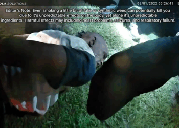 Why Synthetic Drugs Are So V1609 023