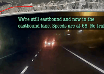 Childless Cat Lady vs. Police V2209 017