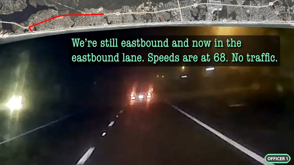 Childless Cat Lady vs. Police V2209 017