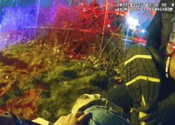 He Said He Was Secret Service Agent V2209 003