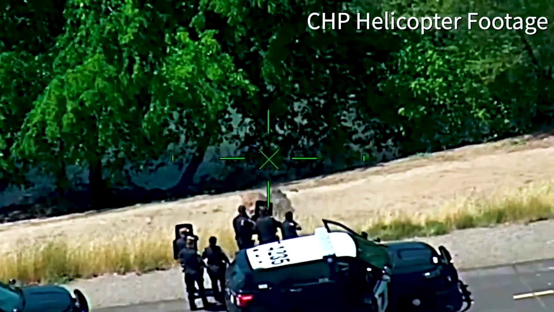Cops K9 Take Down Man BB Gun V2808 034