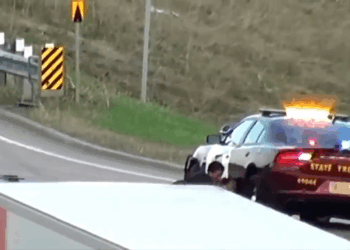 Trooper Needs Help! (April V0409 029