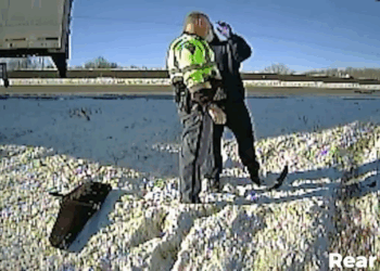 Police Cars Keep Getting Hit V0409 039