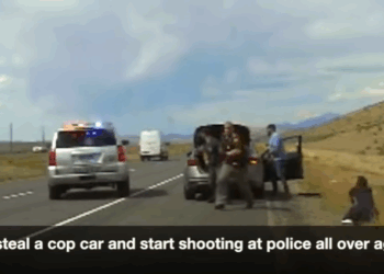 Minnesota Walmart Shooter Got Released Then Did It Again V0409 006