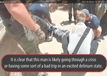 Here Why You Shouldn Grab Cop Gun V0409 011