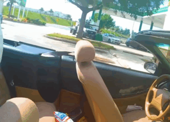 Bratty Karen Thinks She Above Law V2010 054