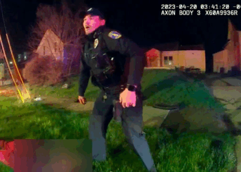 Car Crash Turns Into Officer Worst V2010 028