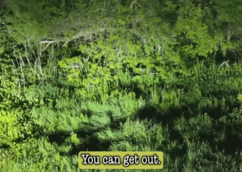 Fresh Out of Prison, He Planned an Ambush V2010 009