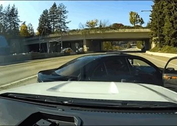 Man Tries Lighting Bomb After Police V2010 027