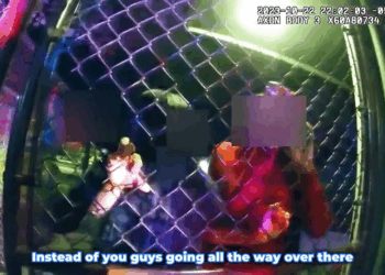 How To Catch Felony at Zoo V0210 010