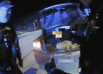 What NOT To Do During Traffic Stop V2209 029 Part 2