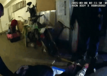 They Did THING You Should NEVER Do at Traffic Stop V1110 081