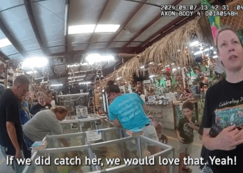 She Threw Away Her Future Over Parrot V1110 083