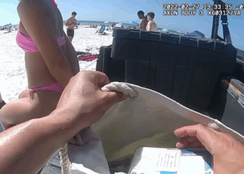 Zero Tolerance Underage Drinking on Clearwater Beach V1110 041