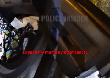 When DUI Arrest Turns Into V2111 033 Luxury