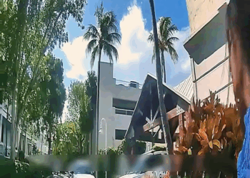 Luxury Cruise to Lockup V1911 030 Country Living