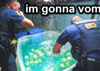 Cops Reveal Horrifying Discovery That Broke the Internet