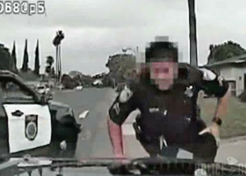 Dashcam: Police Officer Suggests Using a Bat On Escaped Suspect