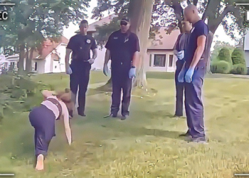 Cops Make the Worst Discovery While Searching Backyard