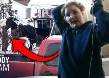 Why Stealing a Horse & Buggy from Walmart Is a BAD Idea