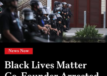 Elon Musk calls for prosecuting Minnesota officials amid probe into potential $9B+ Medicaid fraud