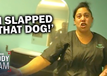 Bodycam: Dog Groomer Allegedly Punched Husky and Attacked Coworker