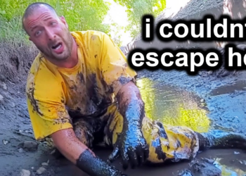 When Cops Rescue Victims From Abusive Wives