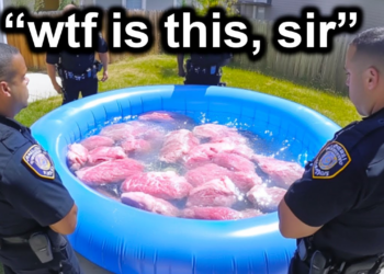 Police Turn Pale as a Ghost When Doing a Routine Welfare Check