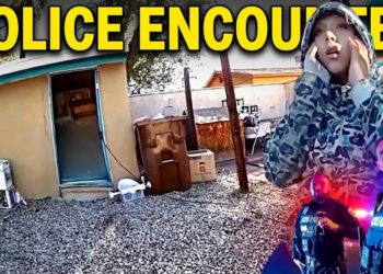 Pregnant Woman Finds Dead Body in Backyard Shed