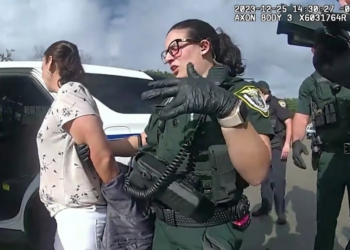 Mom Murders Woman in Front of 5 Kids in Christmas Custody Dispute