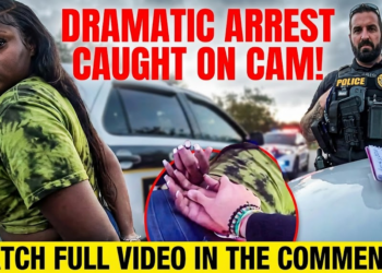 Drunk Driver Fights Off Cops Trying To Remove Her From Her Car