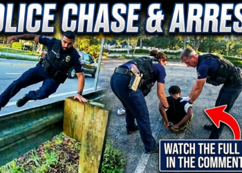 This Is Why You Shouldn’t Run From Police