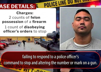 Minnesota Walmart Shooter Got Released & Then Did It Again