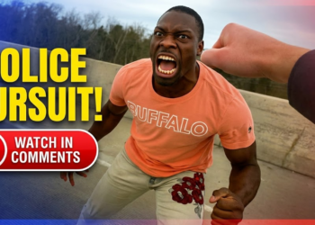 Man Fights Trooper on the Highway Then Steals His Cruiser