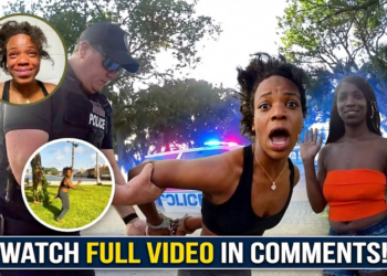 She Refused to Stop, Then Led Officers on a Wild Foot Chase