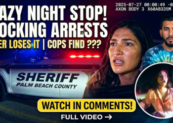 Sister Refused to Leave the DUI Stop—Now She’s Facing Felony Charges