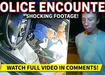 Extraterrestrial Visits Earth & Ends Badly