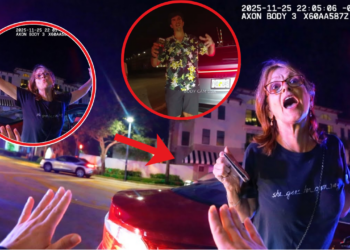 Because Arguing With Police When You’re Impaired Always Ends Well