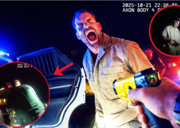 DUI Arrest Goes BAD When Driver’s Attitude FLIPS