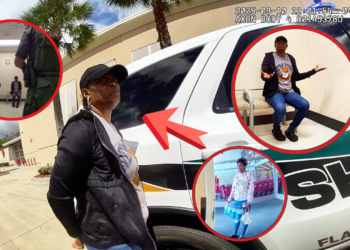 Lie After Lie After Lie — Until She Suddenly Has a Twin