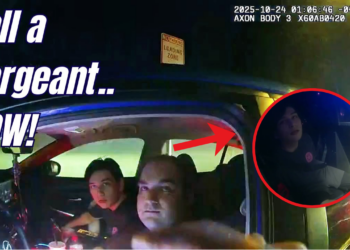 No-Nonsense Cops Rip Argumentative Couple Out of the Car
