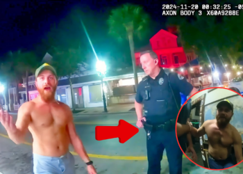 One WILD Night to Remember for All the Wrong Reasons