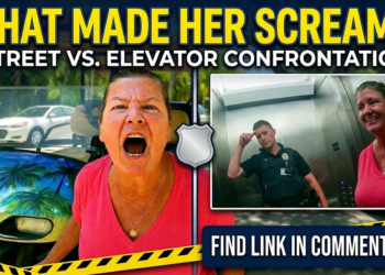 She Wasn’t Getting a Ticket But Inserted Herself Anyway