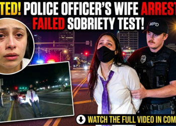 Immigrant Arrested For DUI Has Mental Breakdown During Traffic Stop