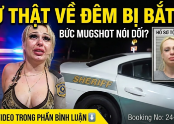 Hairdresser Attempts To Seduce Officers After High-Speed Chase